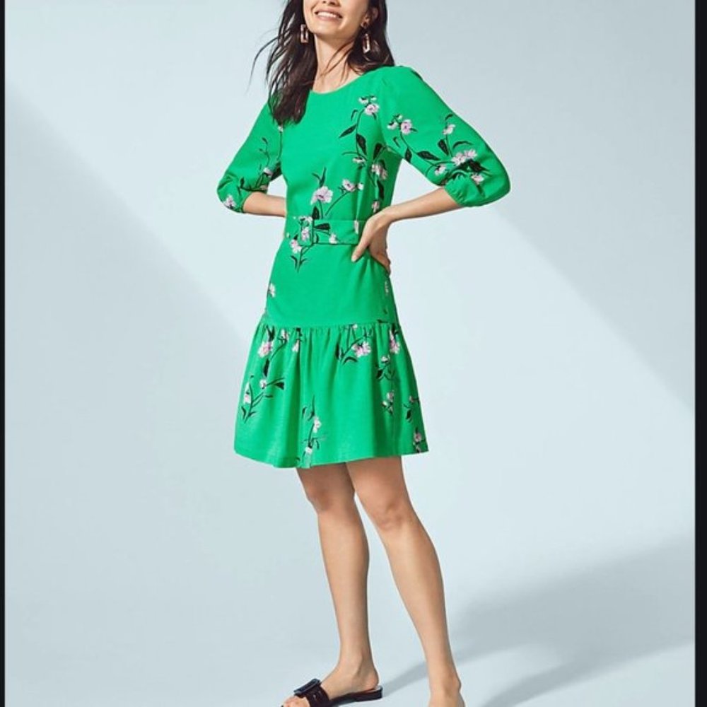 NWOT Ann Taylor Floral Belted Dress Size 2P